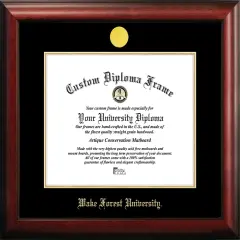 Wake Forest University 14w x 11h Gold Embossed Diploma Frame