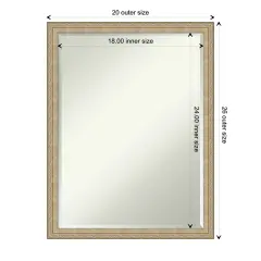 Petite Bevel Wall Mirror, Paris Champagne Frame