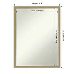 Petite Bevel Wood Wall Mirror, Lucie Frame Lucie Champagne
