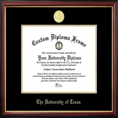 UT, Austin Petite Diploma Frame