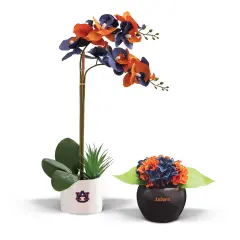 Auburn Tigers Faux Hydrangea and Orchid (2 Pack) - Fan-Favorite Gift Bundle