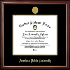 American Public University Petite Diploma Frame