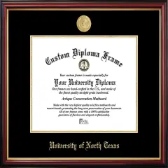 University of North Texas Petite Diploma Frame