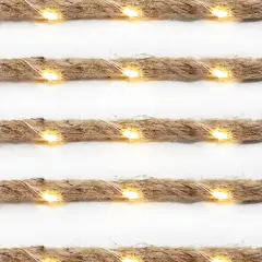 Perfect Holiday 30 LED String Light Rope Battery Operated - Warm White