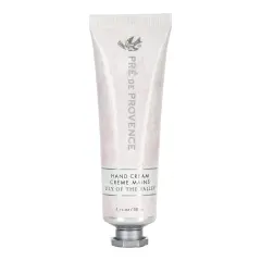 DII Antique Green Lattice Dishtowel (Set Of 2)