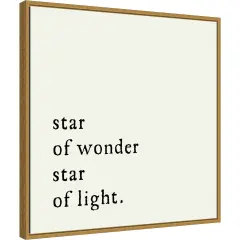 Star Of Wonder by Amanti Art Portfolio 22-in. W x 22-in. H. Canvas Wall Art Print Framed in Gold