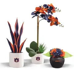 Auburn Tigers Faux Snake Plant, Hydrangea and Orchid (3 Pack) - Ultimate Fan Gift Bundle