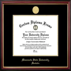 Minnesota State Petite Diploma Frame