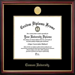 Clemson University Petite Diploma Frame