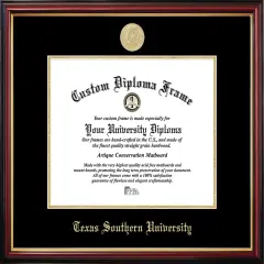 University of Houston Petite Diploma Frame