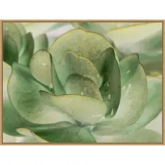 Petal I by Tang Ling 30-in. W x 23-in. H. Canvas Wall Art Print Framed in Natural