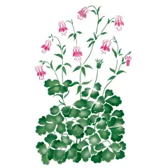 Columbine Flower Wall Stencil | 1727 by Designer Stencils | Floral Stencils |