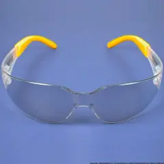 Dewalt DPG54-9C Protector Indoor/Outdoor High Performance Lightweight Protective Safety Glasses with