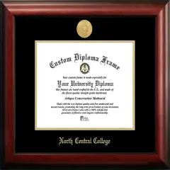 North Central College 11w x 8.5h Gold Embossed Diploma Frame