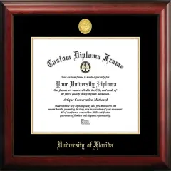 University of Florida 16w x 11.5h Gold Embossed Diploma Frame