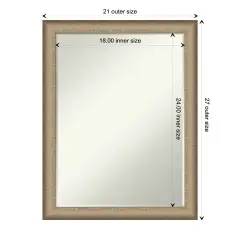 Petite Bevel Wall Mirror, Elegant Brushed Bronze Narrow Frame