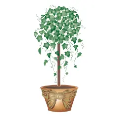 Iyv Topiary with Raffia Wall Stencil | 2296 by Designer Stencils | Floral Stencils | Reusable Art Craft Stencils for Painting on Walls, Canvas, Wood | Reusable Plastic Paint Stencil for Home Makeover | Easy to Use & Clean Art Stencil