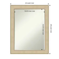 Petite Bevel Wall Mirror, Classic Honey Silver Frame