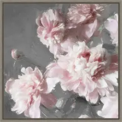Pink Peonies on Gray II by Shawna Sullivan 16-in. W x 16-in. H. Canvas Wall Art Print Framed in Grey