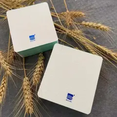 BAOHONG Academy Watercolor Paper 10x10cm, 100% Cotton, 140lb/300gsm, Textured Cold Press 80 sheets