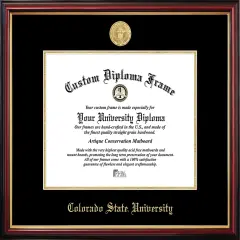 Colorado State University Petite Diploma Frame