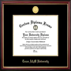 Texas A&M University Petite Diploma Frame