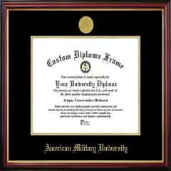 American Military University Petite Diploma Frame