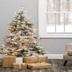 Perfect Holiday 5ft Pre-lit Alpine Spruce Artificial Christmas Tree