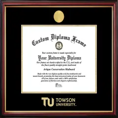 Towson University Petite Diploma Frame