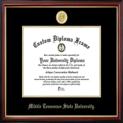 Middle Tennessee Petite Diploma Frame