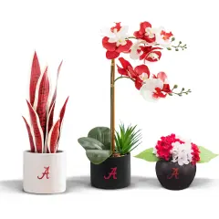 Alabama Crimson Tide Faux Snake Plant, Hydrangea and Orchid (3 Pack) - Ultimate Fan Gift Bundle