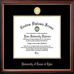 University of Texas at Tyler Petite Diploma Frame
