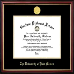 University of New Mexico Petite Diploma Frame