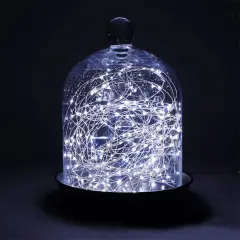 Perfect Holiday 100 LED Copper Battery String Light White