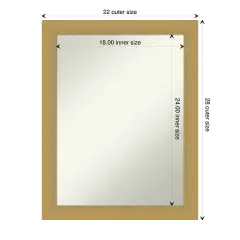 Amanti Art Non-Beveled Wall Mirror, Grace Brushed Gold Frame