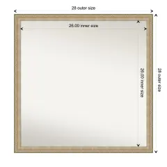 Amanti Art Non-Beveled Wall Mirror, Paris Champagne Frame