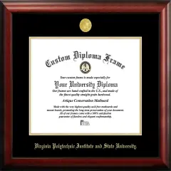 Virginia Tech 15.5w x 13.5h Gold Embossed Diploma Frame