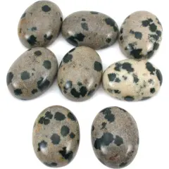 Jasper Dalmatian Oval Cabochon 16mm 8Pcs