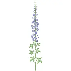 Large Delphinium Wall Stencil | 1135 by Designer Stencils | Floral Stencils |