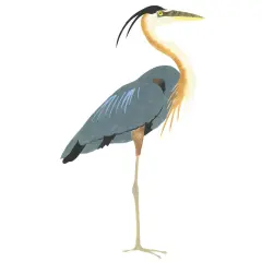 Blue Heron Wall Stencil | 1249 by Designer Stencils | Animal & Nature Stencils | Reusable Art Craft Stencils for Painting on Walls, Canvas, Wood | Reusable Plastic Paint Stencil for Home Makeover | Easy to Use & Clean Art Stencil