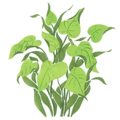 Green Tropical Plant Wall Stencil | 1737 by Designer Stencils | Animal & Nature Stencils | Reusable Art Craft Stencils for Painting on Walls, Canvas, Wood | Reusable Plastic Paint Stencil for Home Makeover | Easy to Use & Clean Art Stencil