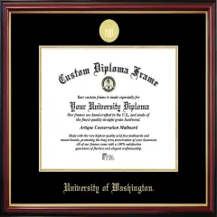 University of Washington Petite Diploma Frame