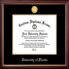 University of Florida Gators Petite Diploma Frame