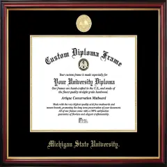 Michigan State University Petite Diploma Frame