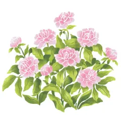 Peonies Wall Stencil | 2126 by Designer Stencils | Floral Stencils | Reusable Art Craft Stencils for Painting on Walls, Canvas, Wood | Reusable Plastic Paint Stencil for Home Makeover | Easy to Use & Clean Art Stencil
