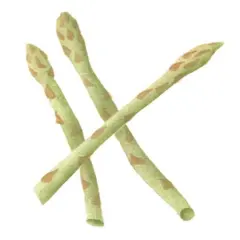 Asparagus Craft Stencil | 1259R by Designer Stencils | Reusable Art Craft Stencils for Painting on Walls, Canvas, Wood | Reusable Plastic Paint Stencil for Home Makeover | Easy to Use & Clean Art Stencil