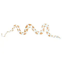 Snake Wall Stencil | 2274 by Designer Stencils | Animal & Nature Stencils | Reusable Art Craft Stencils for Painting on Walls, Canvas, Wood | Reusable Plastic Paint Stencil for Home Makeover | Easy to Use & Clean Art Stencil