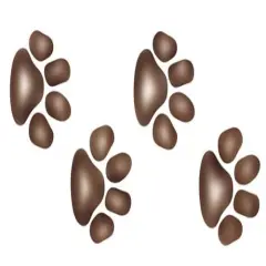 Tiger Paws Wall Stencil | 1516 by Designer Stencils | Animal & Nature Stencils | Reusable Art Craft Stencils for Painting on Walls, Canvas, Wood | Reusable Plastic Paint Stencil for Home Makeover | Easy to Use & Clean Art Stencil