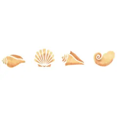 Shell Wall Stencil | 102 by Designer Stencils | Animal & Nature Stencils | Reusable Art Craft Stencils for Painting on Walls, Canvas, Wood | Reusable Plastic Paint Stencil for Home Makeover | Easy to Use & Clean Art Stencil