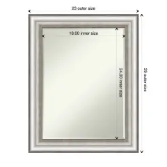 Petite Bevel Wall Mirror, Salon Silver Frame